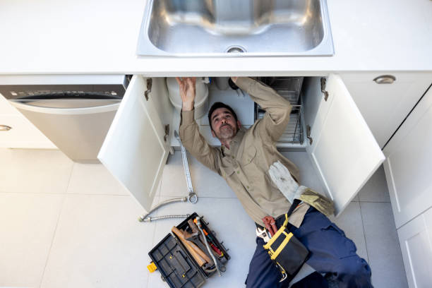 Best Commercial Plumbing Services  in Taylorsville, MS