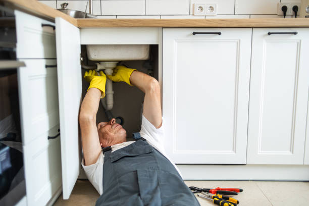 Best Local Plumber Services  in Taylorsville, MS